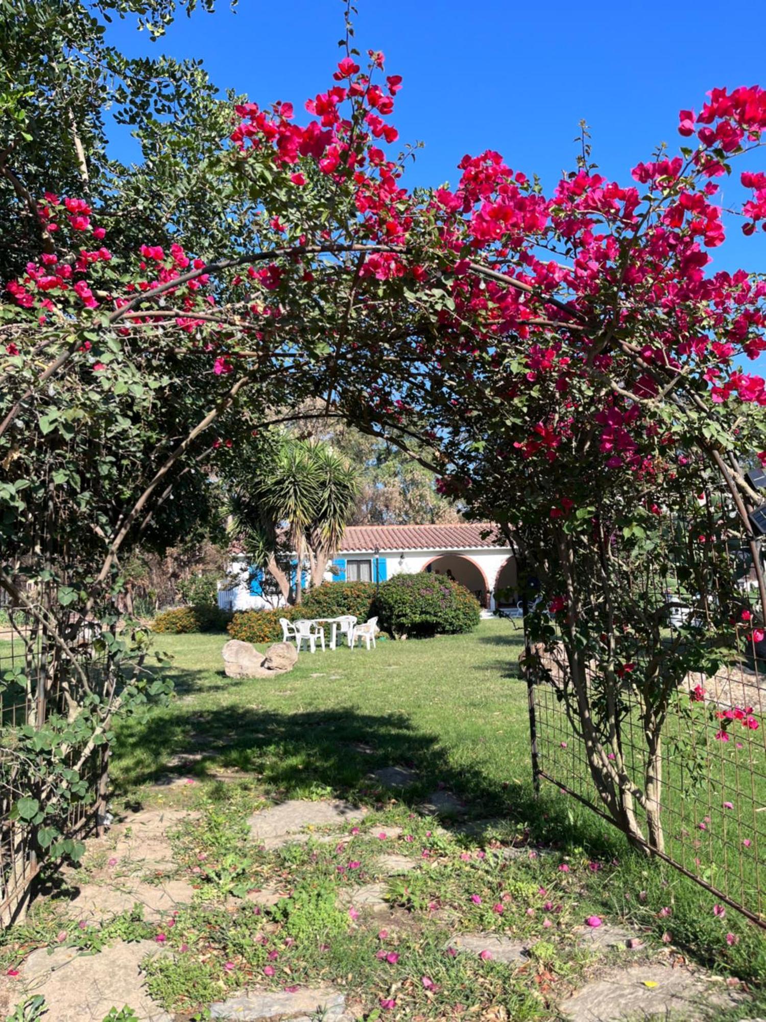 산프리아모 Bidd'E Majori B&B 외부 사진
